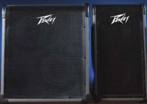 PEAVEY MAX 100 - Amplificadores para Contrabaixo Série MAX® - 2