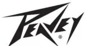 PEAVEY MAX 100 - Rear Panel - 1