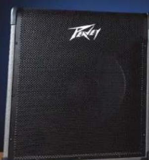 PEAVEY MAX 100 - MAX® - 1