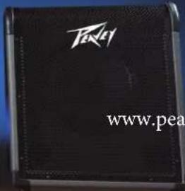 PEAVEY MAX 100 - Amplificadores para Contrabaixo Série MAX® - 3