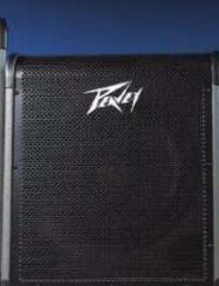 PEAVEY MAX 100 - Amplificatori per Basso serie MAX® - 2