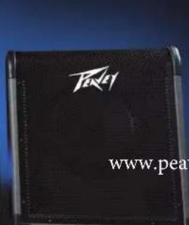 PEAVEY MAX 100 - Bassverträker Serie MAX® - 5