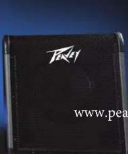 PEAVEY MAX 100 - Amplificatori per Basso serie MAX® - 5