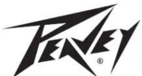 PEAVEY MAX 100 - LAA - 1