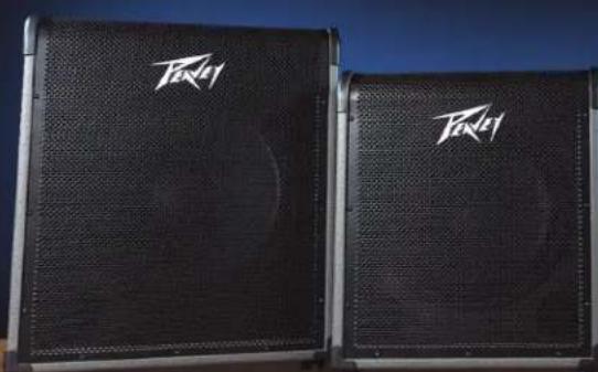PEAVEY MAX 100 - Amplificadores para Contrabaixo Série MAX® - 1