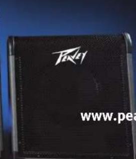 PEAVEY MAX 100 - MAX® - 5