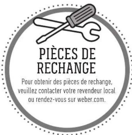 WEBER Traveler - Verification des cables - 3