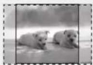 SAMSUNG HTD450K - • 4:3 Pan-Scan - 1