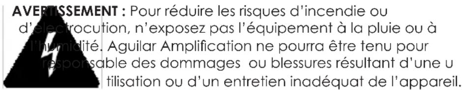 Aguilar Tone Hammer 350 - Instructions de sécurité - 1