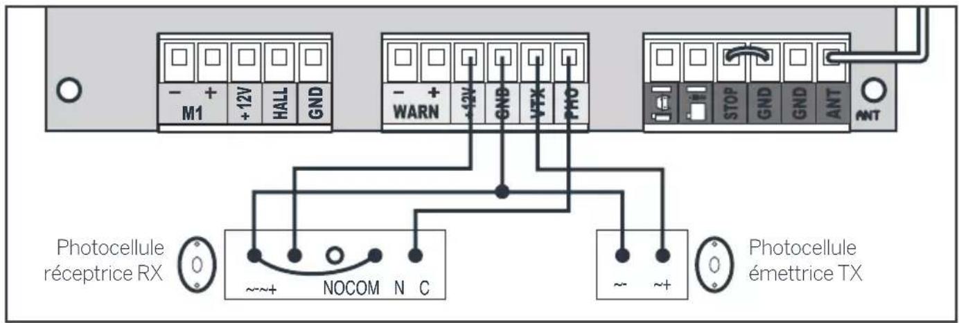 THOMSON 510063 - Les photocellules - 1