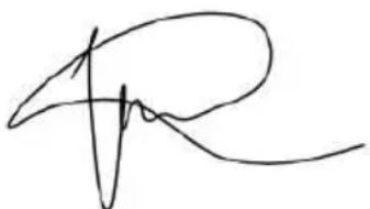 Supersola Advanced - Déclaration UE DE CONFORMITE - 1