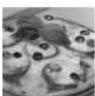 PANASONIC SDYR2500 - Recettes - 3