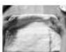 PANASONIC SDYR2500 - Croissant (Yield 18) - 1