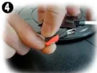 Envivo ENV1618 - DE NAALD VERVANGEN - 4