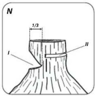 Graphite 58G954 - 19