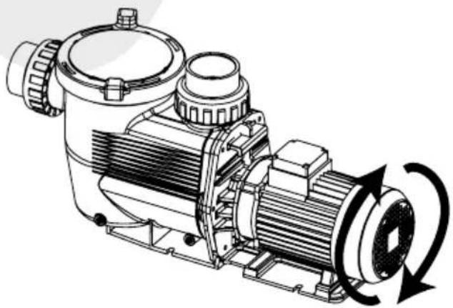 Waterco Lacronite Eco VS - WIRING DIAGRAM - 4
