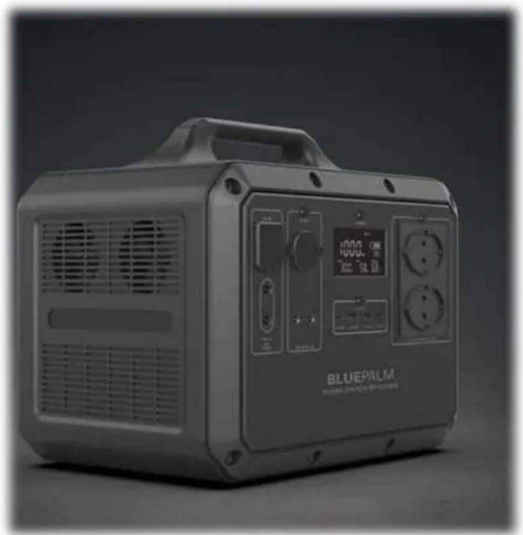 BLUEPALM BPS1500F - Exonerarea raspunderii - 1