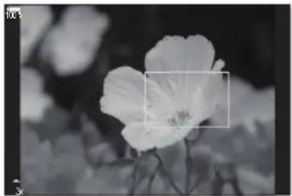 OM SYSTEM OM1 Mark II - Bouton - 4