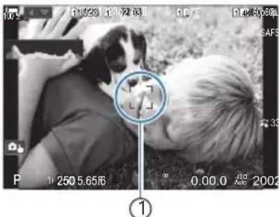 OM SYSTEM OM1 Mark II - Types de modes de prise de vue - 3