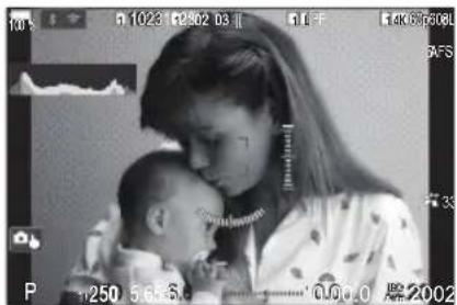 OM SYSTEM OM1 Mark II - PASM - 7