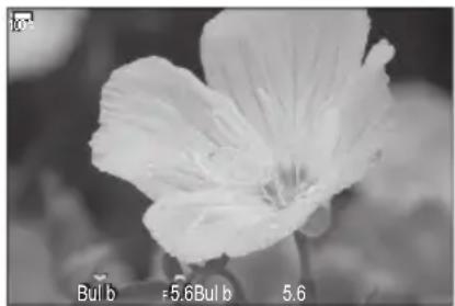 OM SYSTEM OM1 Mark II - Bouton - 6