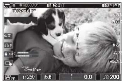 OM SYSTEM OM1 Mark II - Affichage d'un cadre rouge pendant l'enregistrement video (Cadre rouge avec REC) - 2