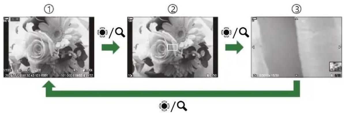 OM SYSTEM OM1 Mark II - Choix des informations affichées pendant la lecture en gros plan (▶ QParamètres d'info) - 1