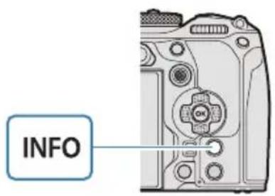 OM SYSTEM OM1 Mark II - PASM - 1