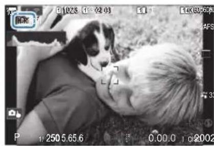 OM SYSTEM OM1 Mark II - PASM - 1