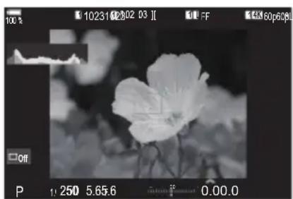 OM SYSTEM OM1 Mark II - Bouton - 2