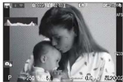 OM SYSTEM OM1 Mark II - PASM - 2