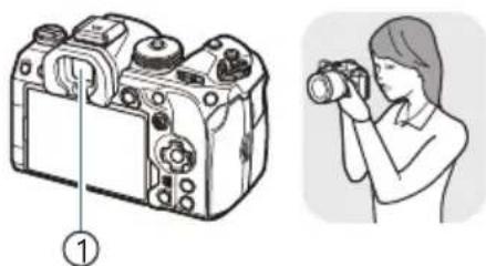 OM SYSTEM OM1 Mark II - Cadrer des photos dans le viseur - 1