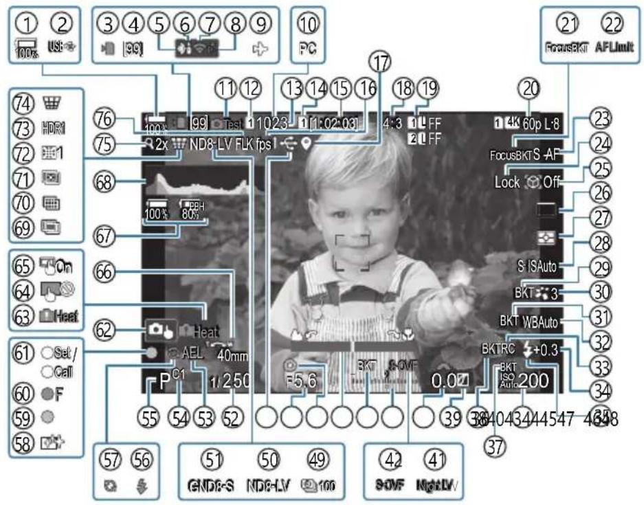 OM SYSTEM OM1 Mark II - Affichage de I'ecran pendant la photographie fixe - 1