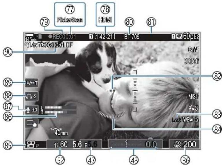 OM SYSTEM OM1 Mark II - Affichage de I'ecran en mode Video - 1