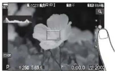 OM SYSTEM OM1 Mark II - Prévisualiser le sujet ( - 1