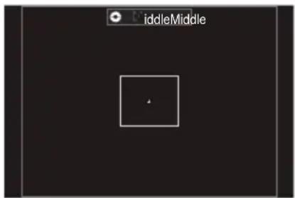 OM SYSTEM OM1 Mark II - [ ]Moyen - 1