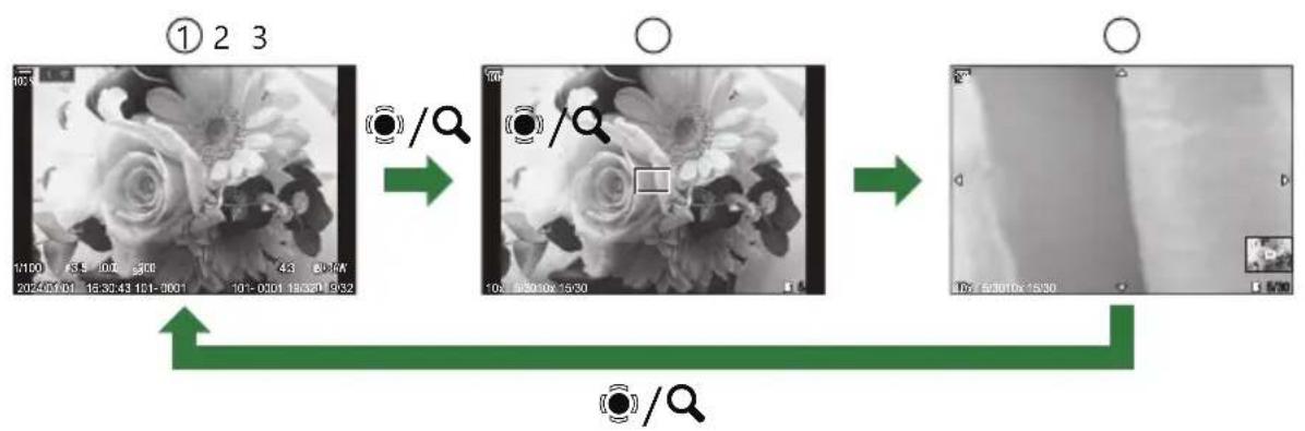 OM SYSTEM OM1 Mark II - Zoom avant (Zoom de lecture) - 1