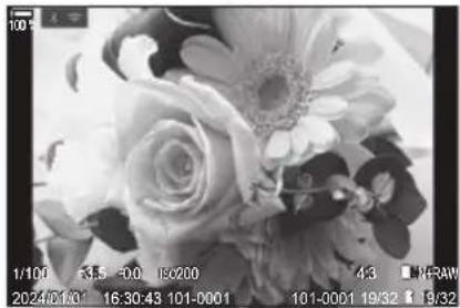 OM SYSTEM OM1 Mark II - Retouche d'images JPEG (Éditer JPEG) - 1