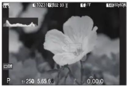 OM SYSTEM OM1 Mark II - Bouton - 3