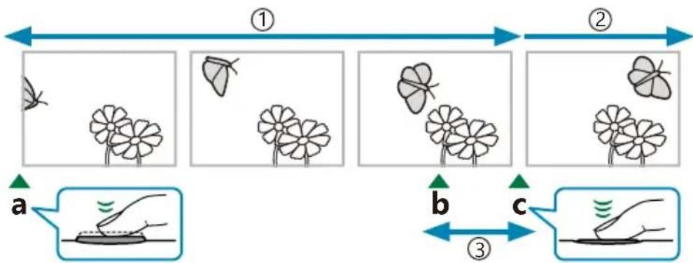 OM SYSTEM OM1 Mark II - PASM - 1