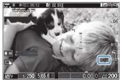 OM SYSTEM OM1 Mark II - Bouton - 1