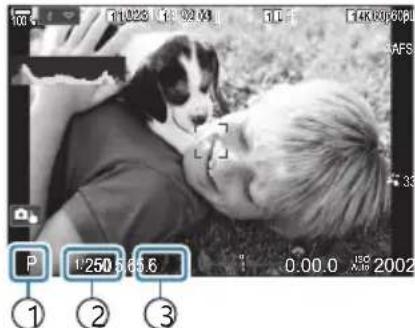 OM SYSTEM OM1 Mark II - Laisser l'appareil photo désisir l'ouverture et la vitesse d'obturation (P : Programme AE) - 2