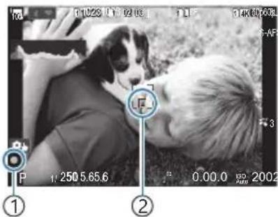 OM SYSTEM OM1 Mark II - Types de modes de prise de vue - 5