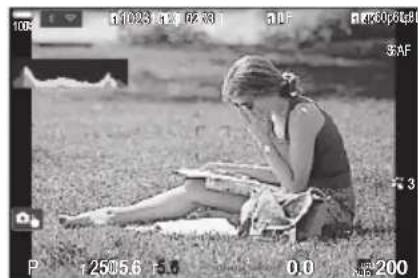 OM SYSTEM OM1 Mark II - Cadrer des photos à l'écran - 4