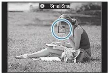 OM SYSTEM OM1 Mark II - PASM - 2