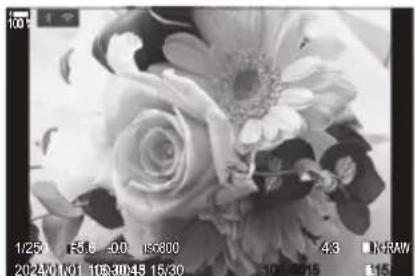 OM SYSTEM OM1 Mark II - Retouche d'images RAW (Édit. données RAW) - 1