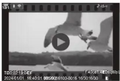 OM SYSTEM OM1 Mark II - Regarder des videos - 1