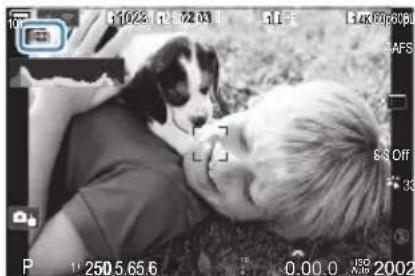 OM SYSTEM OM1 Mark II - Prise de vue - 1