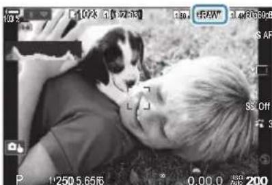 OM SYSTEM OM1 Mark II - Prise de vue - 2