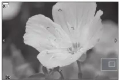 OM SYSTEM OM1 Mark II - Bouton - 5